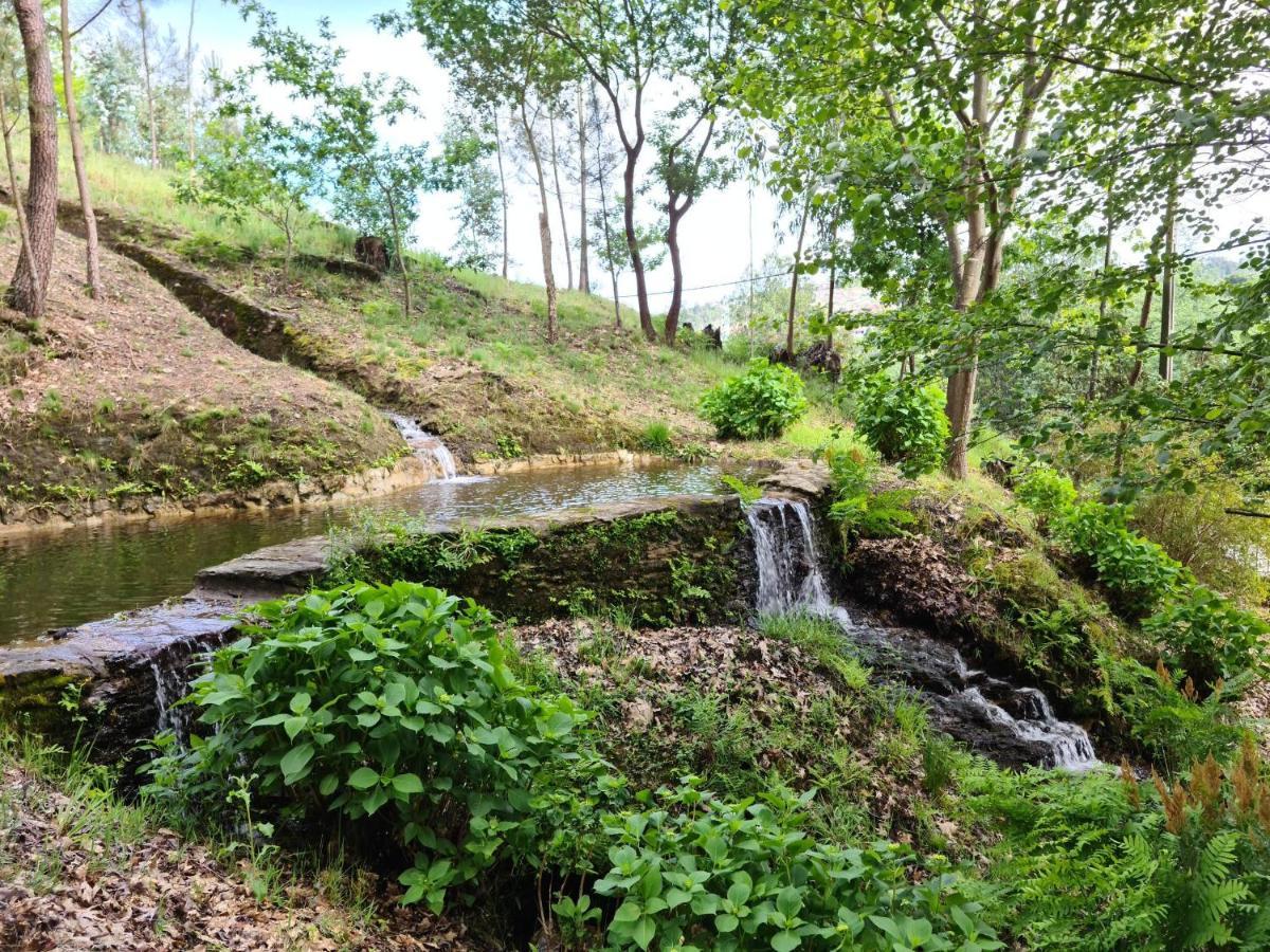 Tapada De Sao Domingos Villa Gondomar  Luaran gambar